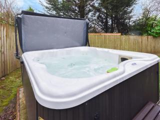 Ptarmigan Lodge - Balmaha - 9