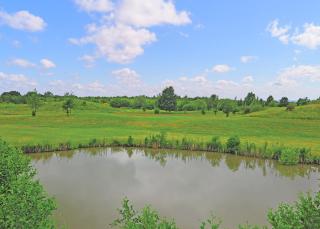 Kingswood Golf Lodges - Thorne - 7