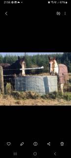 The Shepherd's Cottage - 1