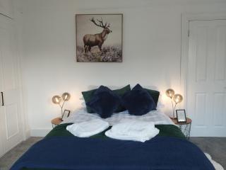 Entire Home in London - Londra - 5