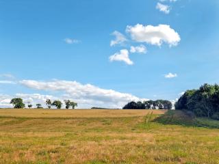 Rose Cottage - Slaley - 4
