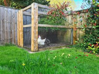 Rose Cottage - Slaley - 3