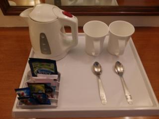 Pride Hotel Pune - Pune - 4