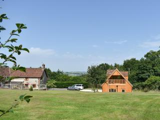 The Bee Hive - South Chard - 7