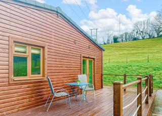 Pant Wilkin Lodges And Equestrian Centre - Cowbridge - 2