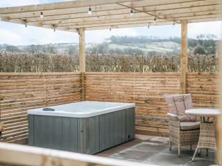 Swallow Lodge - Uk42540 - Winforton - 9