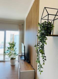 Vista Adriatic Cz By Adriatic Living - Durrës - 8