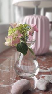 Ronehamn Bed and Breakfast - Hemse - 9