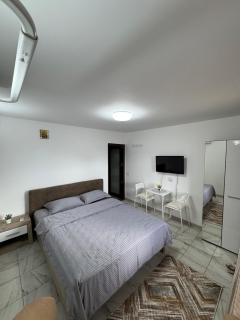 Cazare Casa Cernica - Cernica - 2