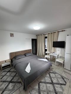Cazare Casa Cernica - Cernica - 6