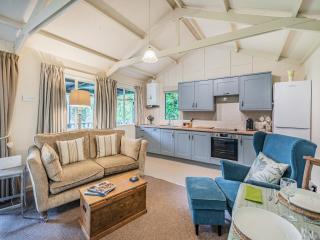Peaceful Woodland Lodge - Cornisholme - 4
