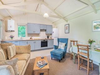 Peaceful Woodland Lodge - Cornisholme - 1