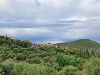 Milionis Manor - 7