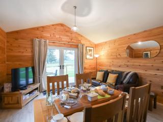 Llwynog Lodge - Montgomery - 7