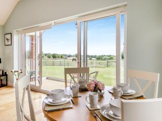 Chestnut Lodge - Old Buckenham - 7