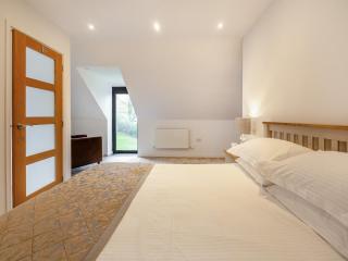 The Aran - Uk46080 - Frongoch - 1