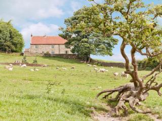 Warren Farmhouse - Kildale - 0