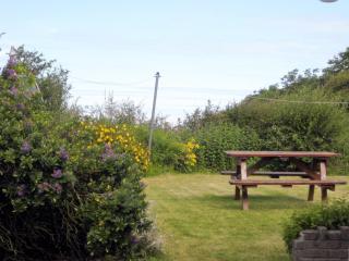 Salfur - Rhiw - 1