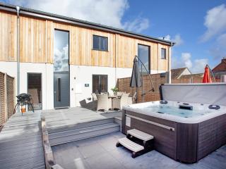 Primrose-Uk34614 - Nether Stowey - 3