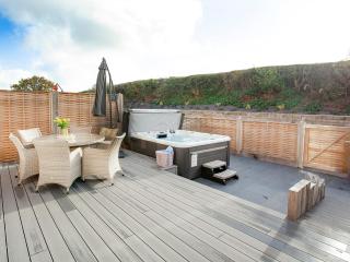 Primrose-Uk34614 - Nether Stowey - 1