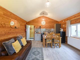 Llwynog Lodge - Montgomery - 6