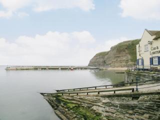 Thistle-Doo Nicely - Staithes - 5