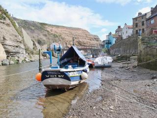 Thistle-Doo Nicely - Staithes - 3