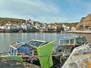 Thistle-Doo Nicely - Staithes - 1