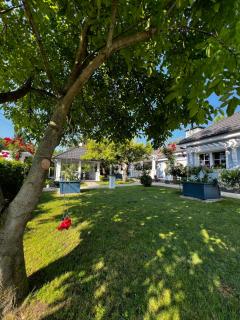 The Blue Cottage Akarattya - Balatonkenese - 7