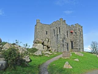 Goonearl Cottage - Redruth - 4