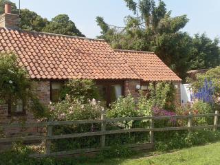 Wisteria Cottage - Skirpenbeck - 0