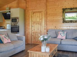 Pine Lodge - Uk30007 - Lindal in Furness - 6