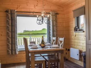Pine Lodge - Uk30007 - Lindal in Furness - 5