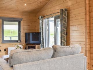 Pine Lodge - Uk30007 - Lindal in Furness - 4