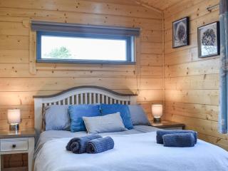 Pine Lodge - Uk30007 - Lindal in Furness - 1
