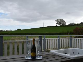 Pine Lodge - Uk30007 - Lindal in Furness - 9