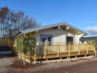 Pine Lodge - Uk30007 - Lindal in Furness - 8