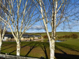 Pine Lodge - Uk30007 - Lindal in Furness - 6