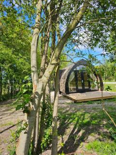 Tiny House De Bosksjonger - 9