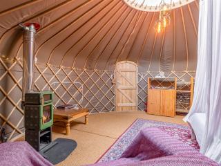 The Warren Yurt - Withyham - 7