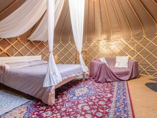 The Warren Yurt - Withyham - 8