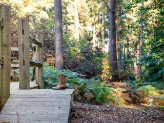 The Warren Yurt - Withyham - 1
