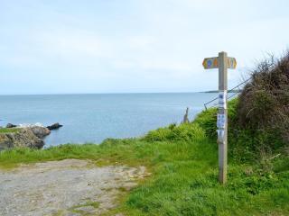 Porth Cormon Farmhouse - Llangwnadl - 4