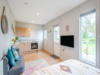 Willow Lodge 1 - Uk48642 - Taunton - 8