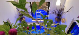 Riad Come & Va - Marrakech - 7
