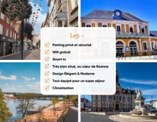 Rose Roanne centre-ville - Parking & Clim - Roanne - 7
