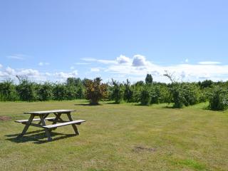 Hawthorne Cottage - Py8 - Preston - 2