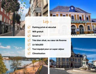 Lys Roanne centre-ville - Clim & Parking - 7