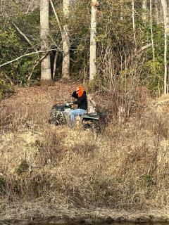 Goldilocks - Pikeville - 3
