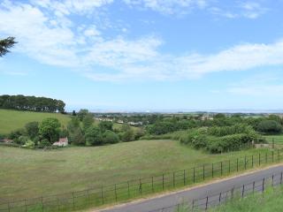 Primrose-Uk34614 - Nether Stowey - 8